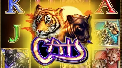 cats